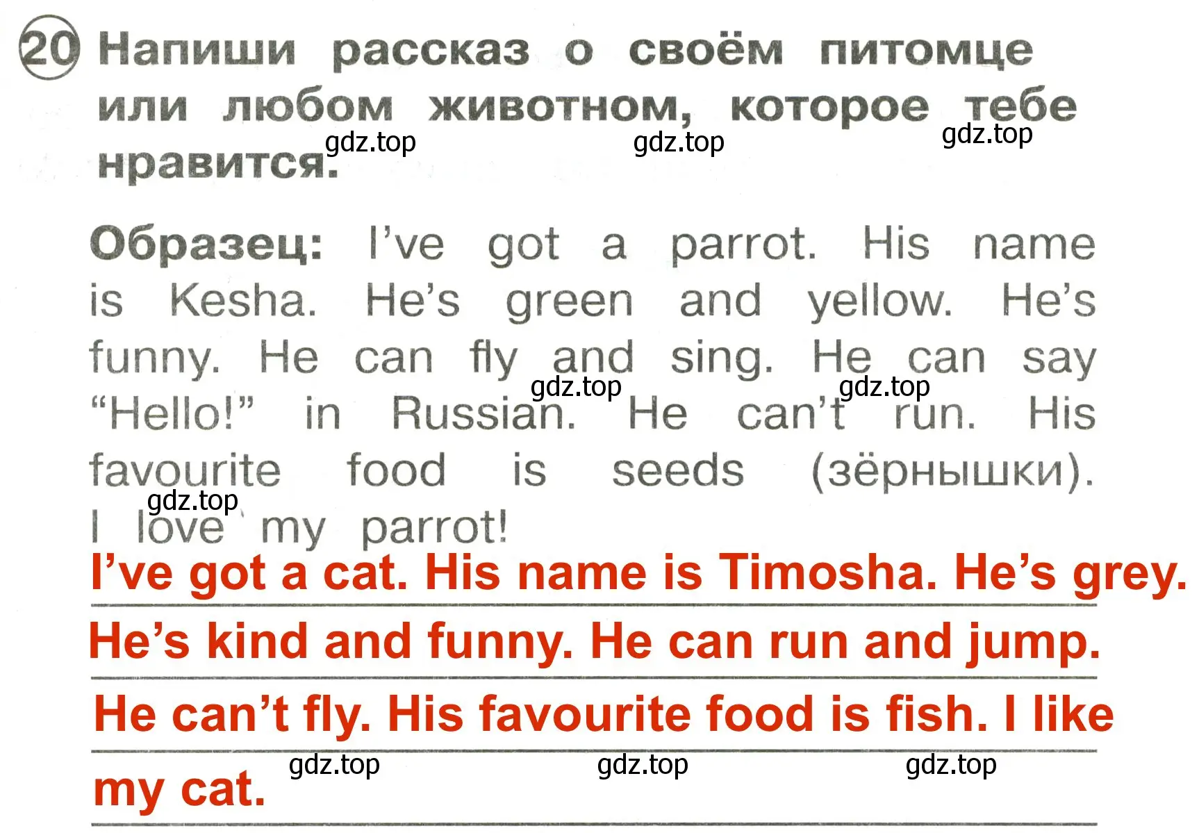 Решение 3. номер 20 (страница 79) гдз по английскому языку 2 класс Быкова, Поспелова, сборник упражнений