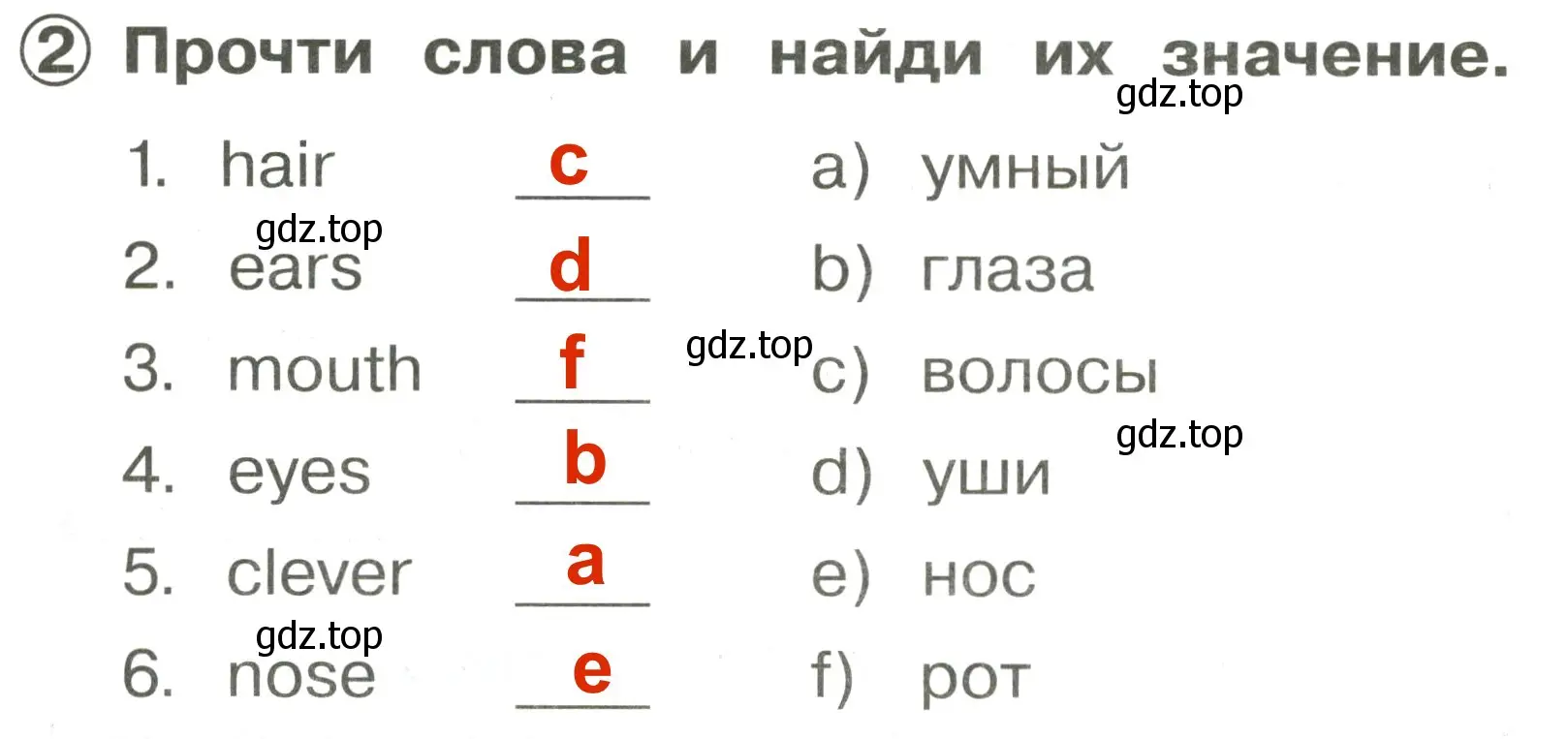 Решение 3. номер 2 (страница 91) гдз по английскому языку 2 класс Быкова, Поспелова, сборник упражнений