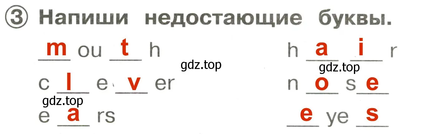 Решение 3. номер 3 (страница 91) гдз по английскому языку 2 класс Быкова, Поспелова, сборник упражнений