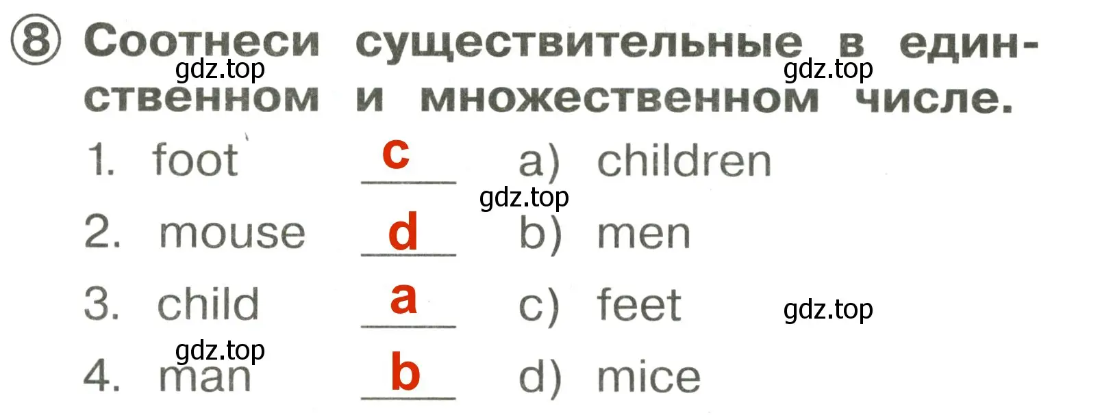 Решение 3. номер 8 (страница 93) гдз по английскому языку 2 класс Быкова, Поспелова, сборник упражнений