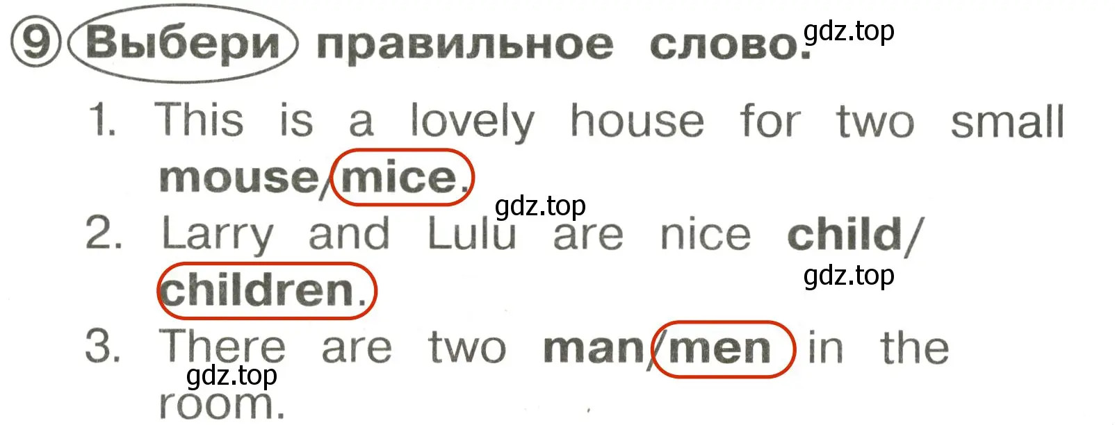 Решение 3. номер 9 (страница 93) гдз по английскому языку 2 класс Быкова, Поспелова, сборник упражнений