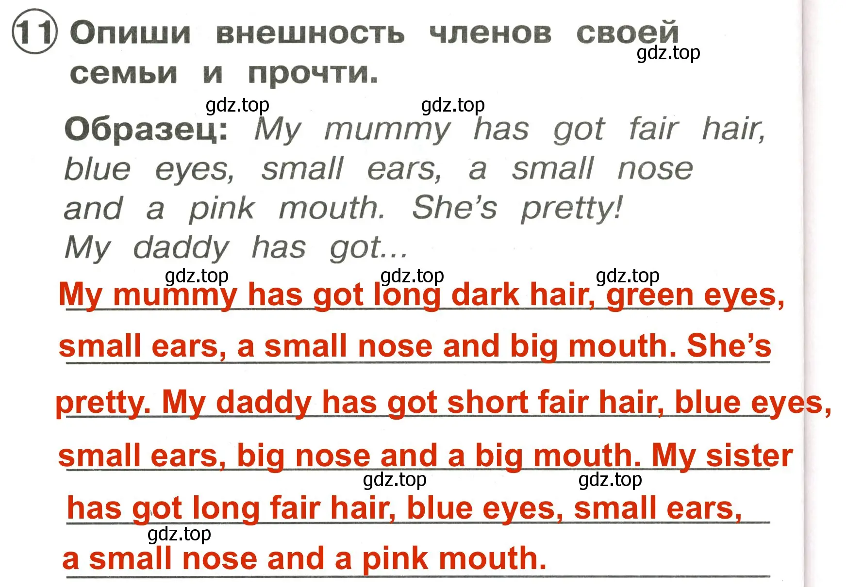 Решение 3. номер 11 (страница 102) гдз по английскому языку 2 класс Быкова, Поспелова, сборник упражнений