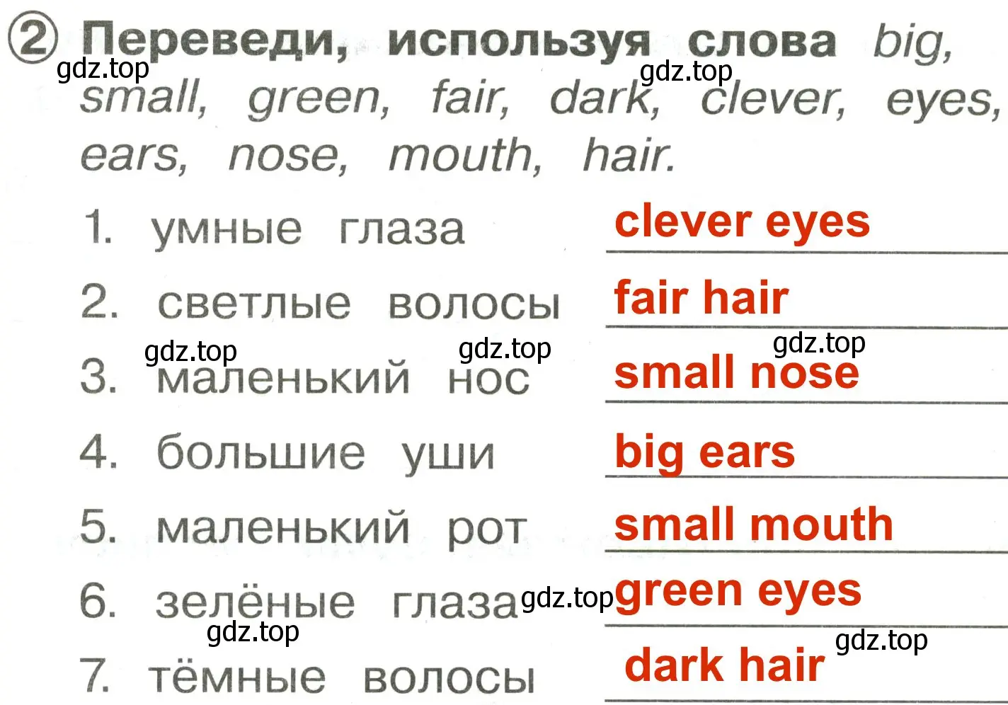 Решение 3. номер 2 (страница 97) гдз по английскому языку 2 класс Быкова, Поспелова, сборник упражнений