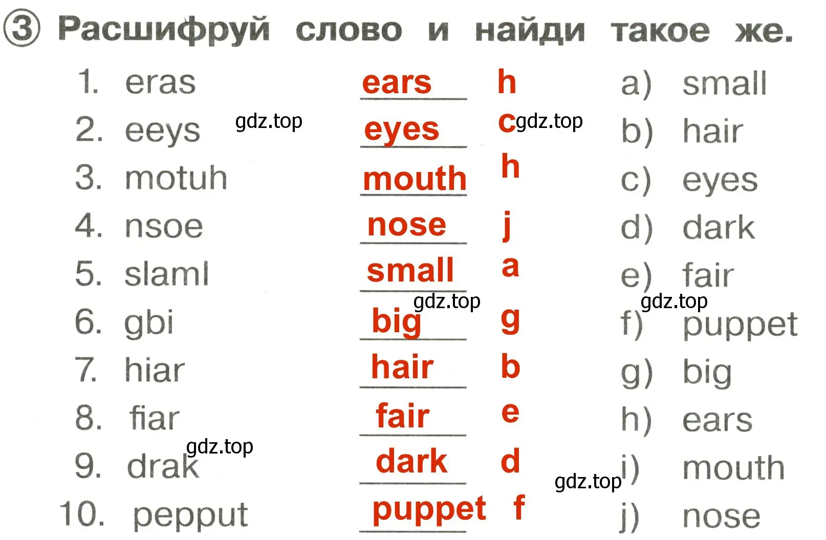 Решение 3. номер 3 (страница 97) гдз по английскому языку 2 класс Быкова, Поспелова, сборник упражнений