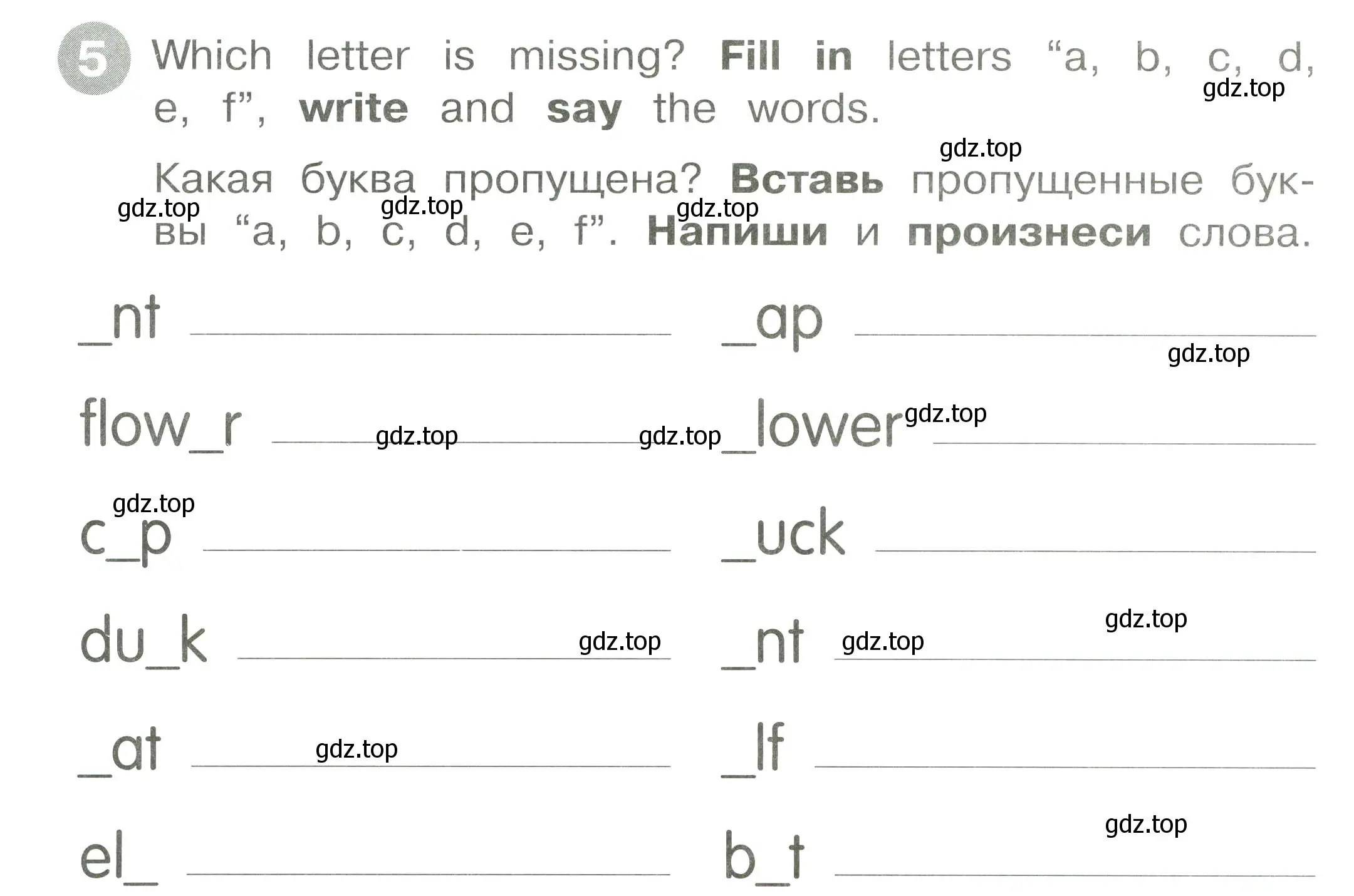 Условие номер 5 (страница 4) гдз по английскому языку 2 класс Котова, сборник упражнений