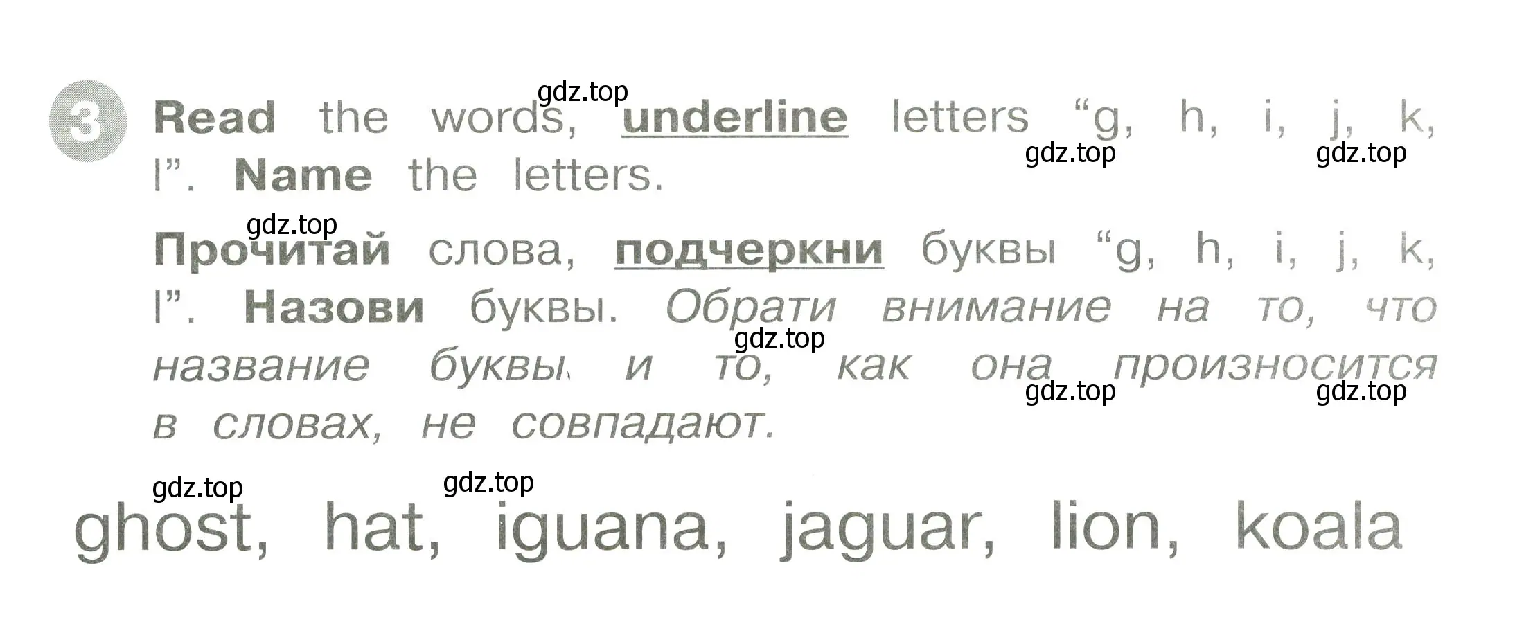 Условие номер 3 (страница 9) гдз по английскому языку 2 класс Котова, сборник упражнений