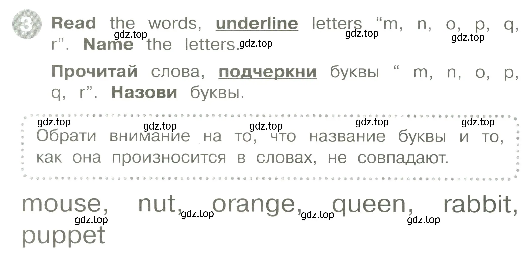 Условие номер 3 (страница 14) гдз по английскому языку 2 класс Котова, сборник упражнений