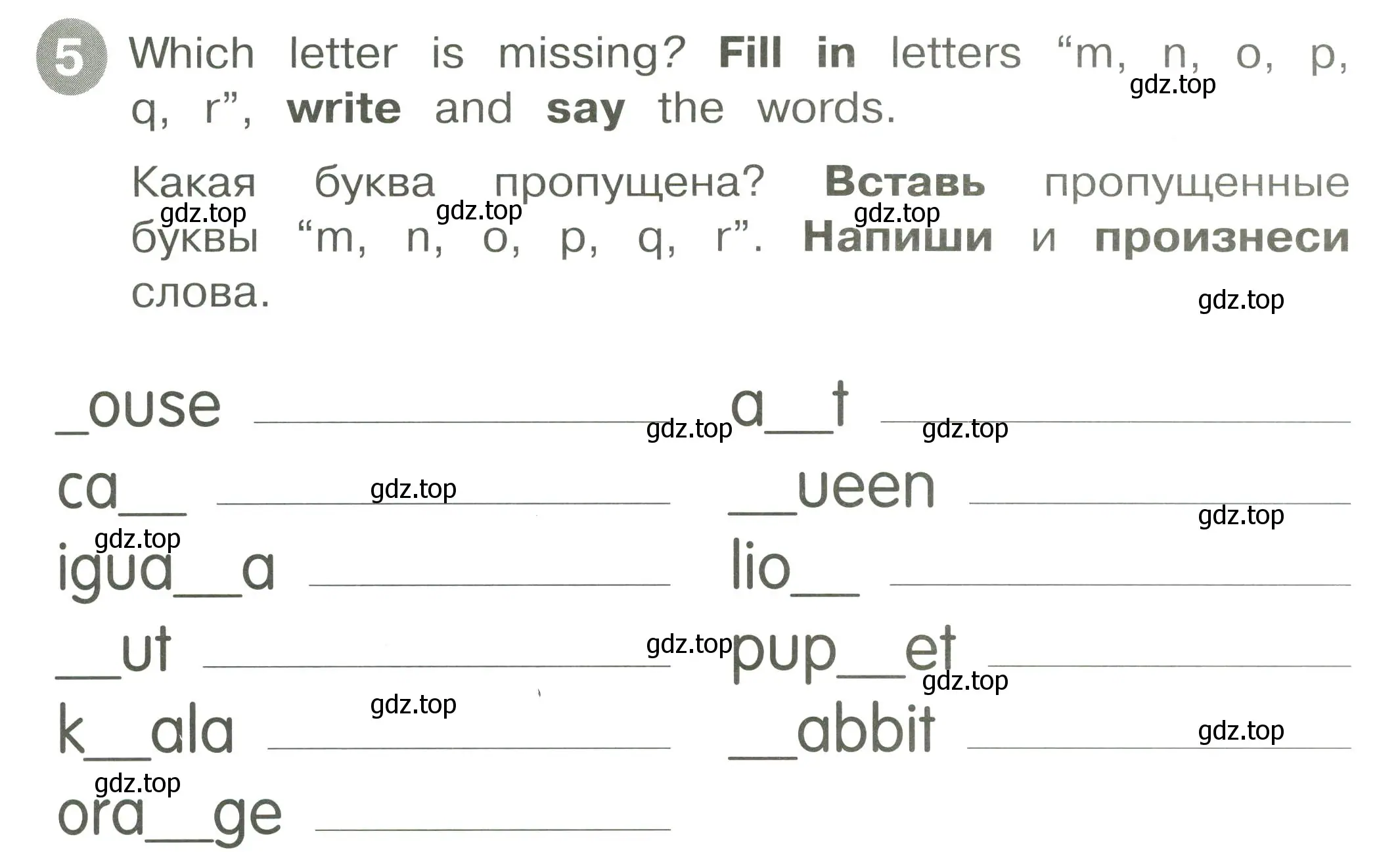 Условие номер 5 (страница 15) гдз по английскому языку 2 класс Котова, сборник упражнений