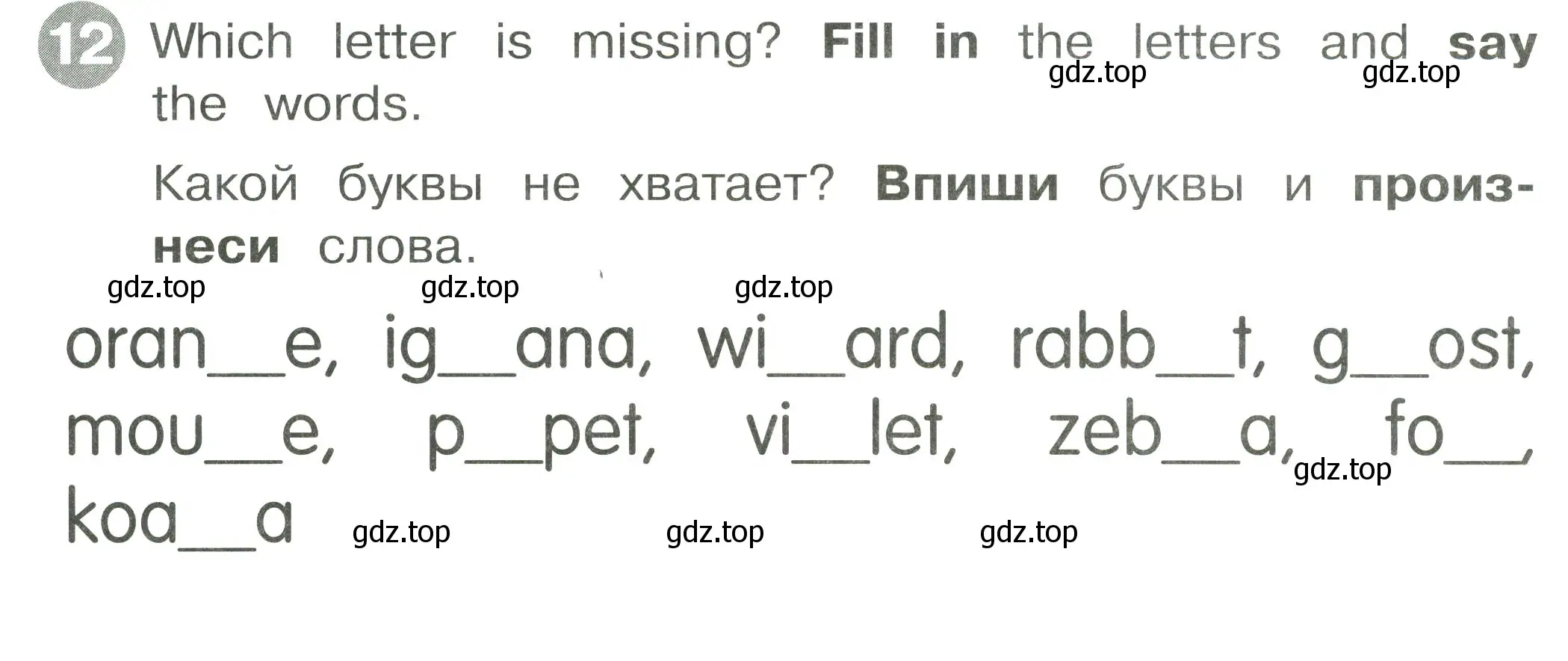 Условие номер 12 (страница 24) гдз по английскому языку 2 класс Котова, сборник упражнений