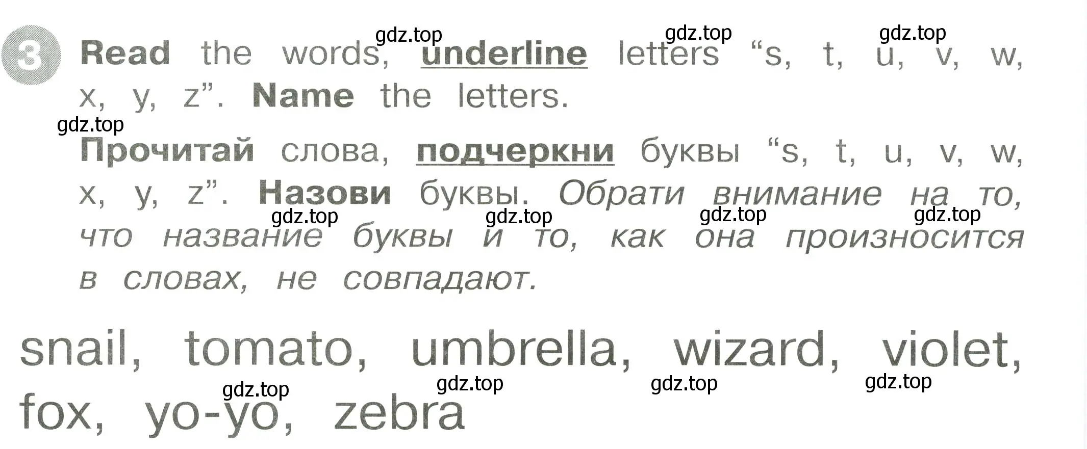 Условие номер 3 (страница 20) гдз по английскому языку 2 класс Котова, сборник упражнений