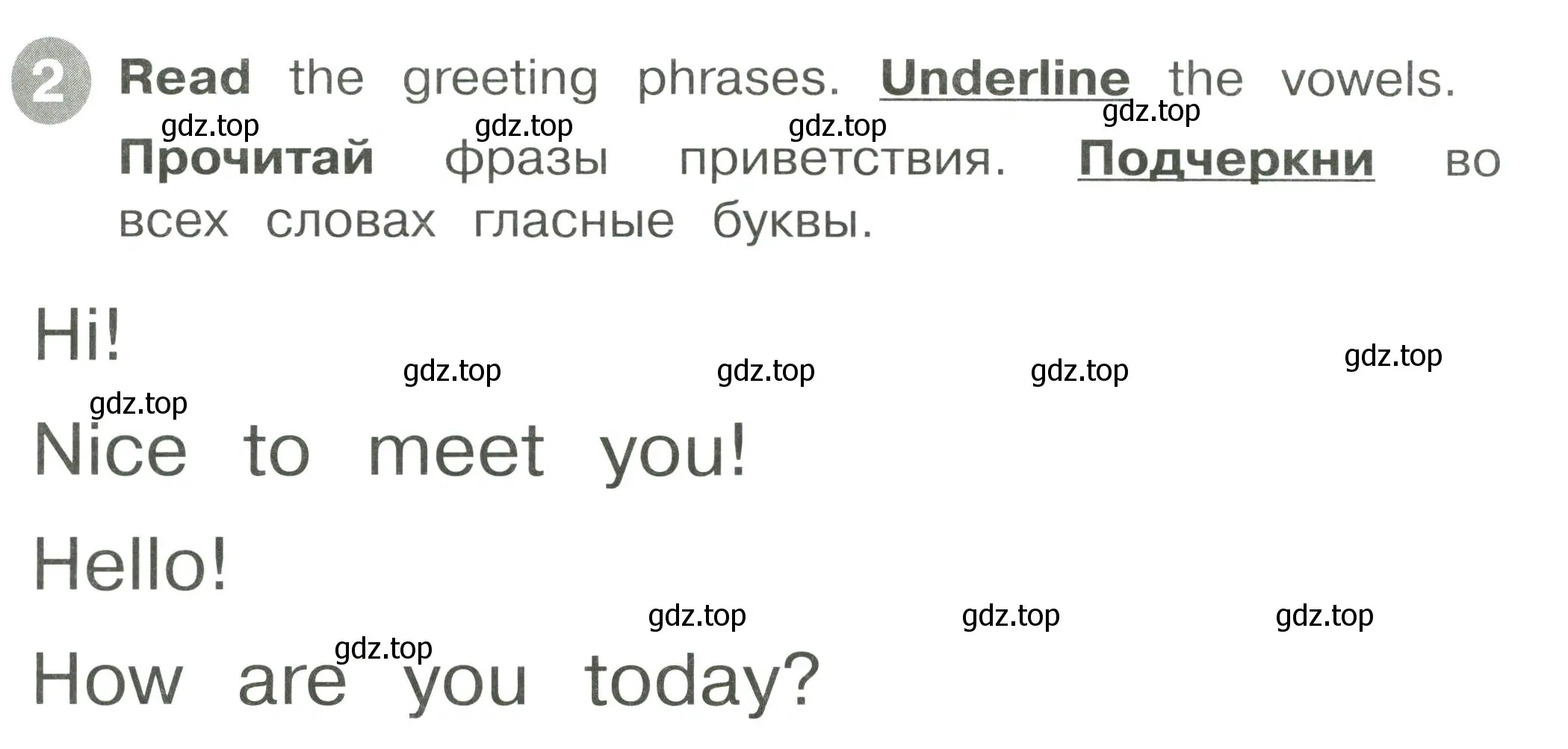 Условие номер 2 (страница 25) гдз по английскому языку 2 класс Котова, сборник упражнений