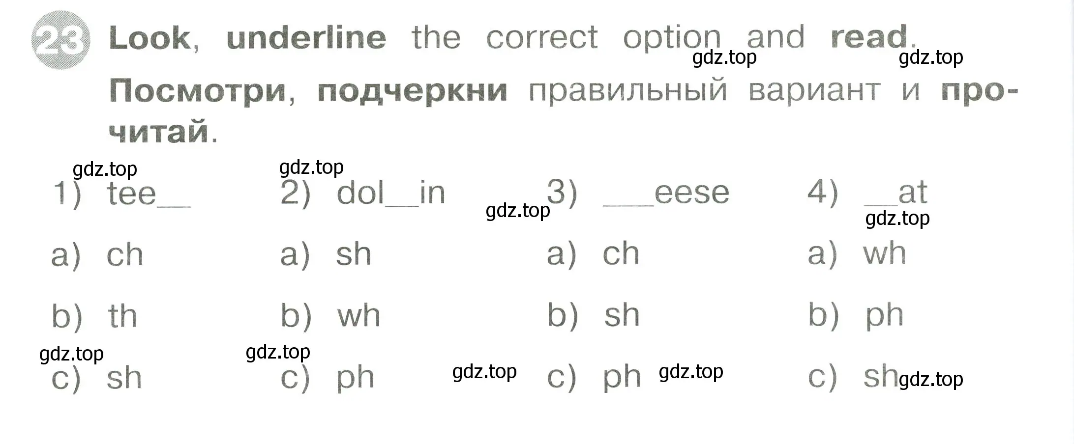 Условие номер 23 (страница 36) гдз по английскому языку 2 класс Котова, сборник упражнений