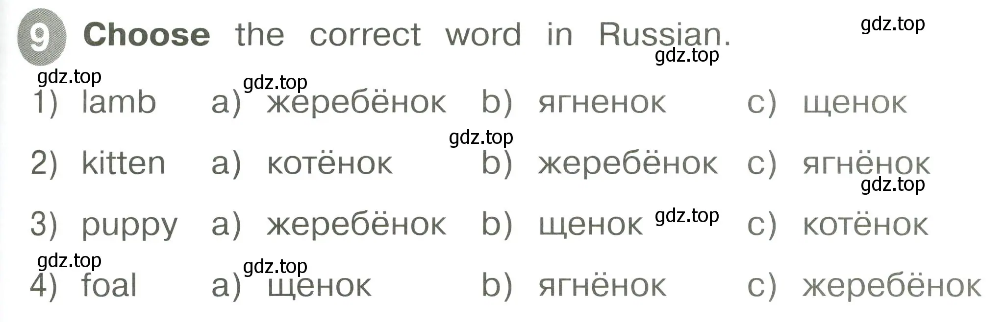 Условие номер 9 (страница 43) гдз по английскому языку 2 класс Котова, сборник упражнений