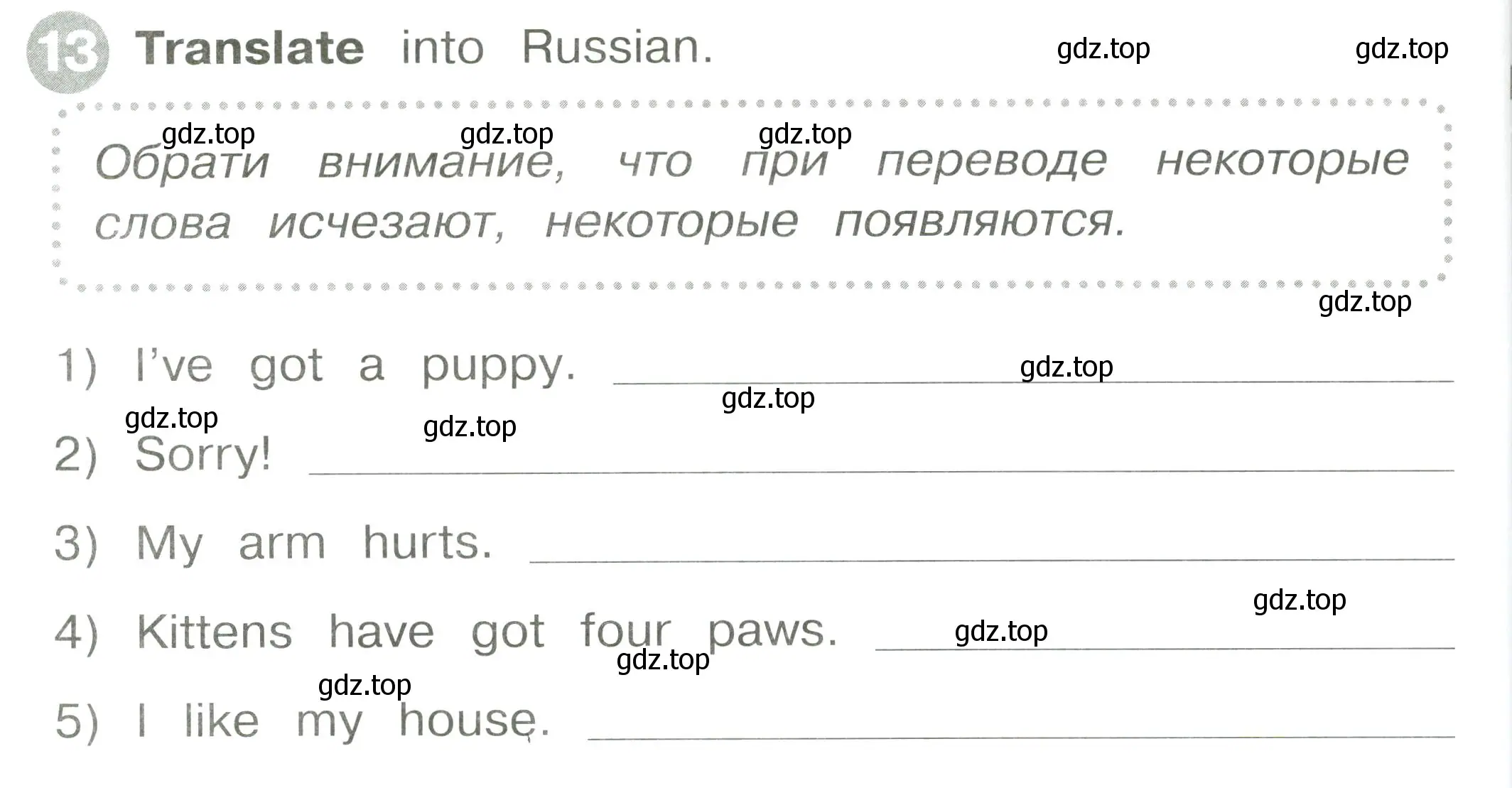 Условие номер 13 (страница 64) гдз по английскому языку 2 класс Котова, сборник упражнений