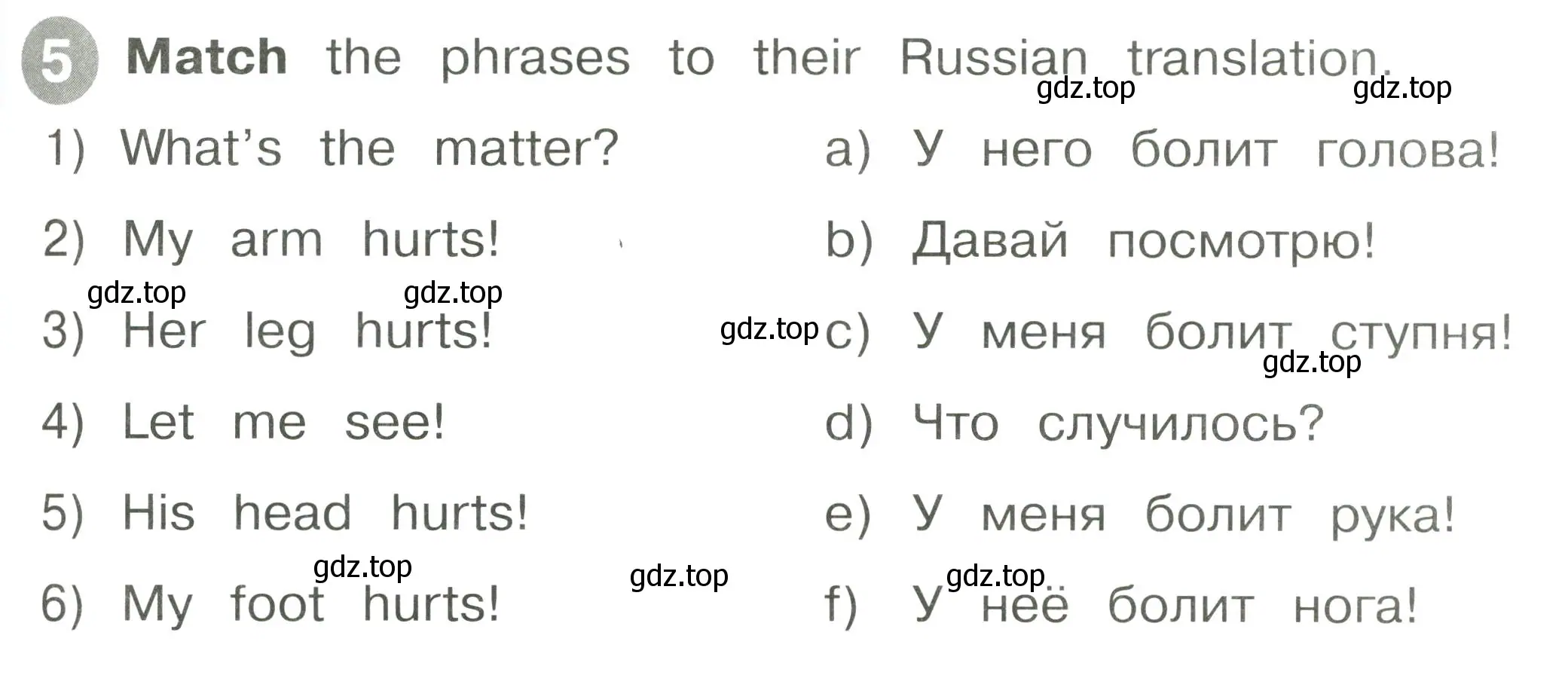 Условие номер 5 (страница 61) гдз по английскому языку 2 класс Котова, сборник упражнений