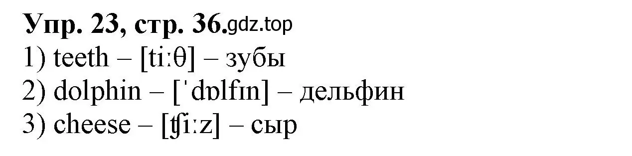 Решение номер 23 (страница 36) гдз по английскому языку 2 класс Котова, сборник упражнений