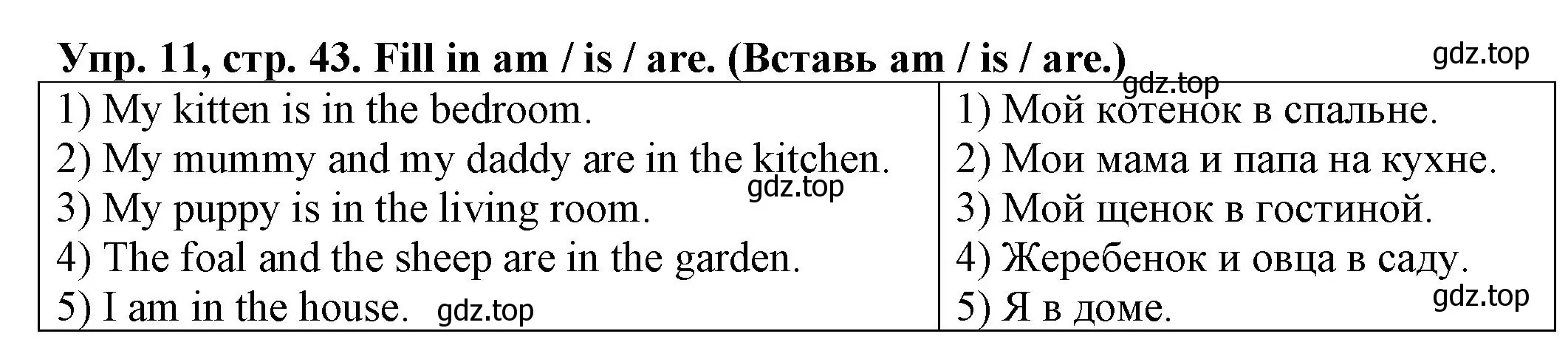 Решение номер 11 (страница 43) гдз по английскому языку 2 класс Котова, сборник упражнений