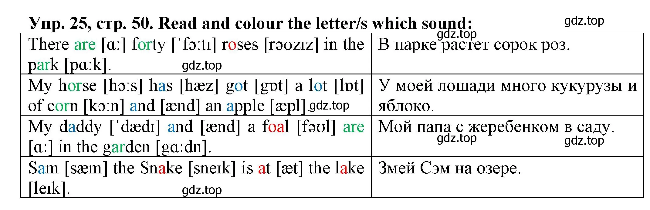 Решение номер 25 (страница 50) гдз по английскому языку 2 класс Котова, сборник упражнений
