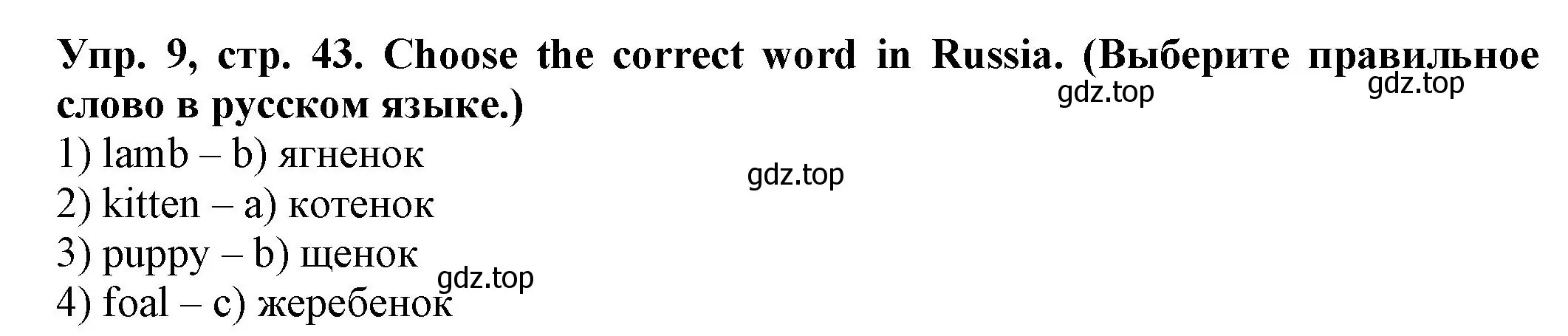 Решение номер 9 (страница 43) гдз по английскому языку 2 класс Котова, сборник упражнений