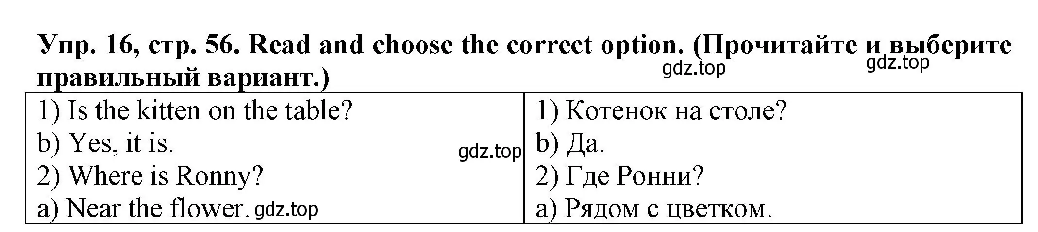 Решение номер 16 (страница 56) гдз по английскому языку 2 класс Котова, сборник упражнений