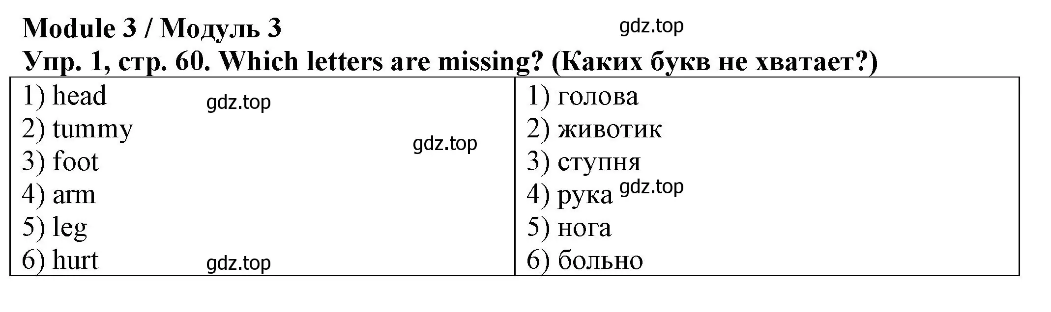 Решение номер 1 (страница 60) гдз по английскому языку 2 класс Котова, сборник упражнений