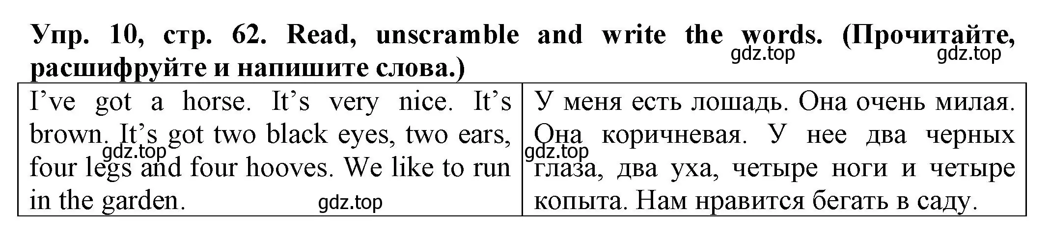 Решение номер 10 (страница 62) гдз по английскому языку 2 класс Котова, сборник упражнений