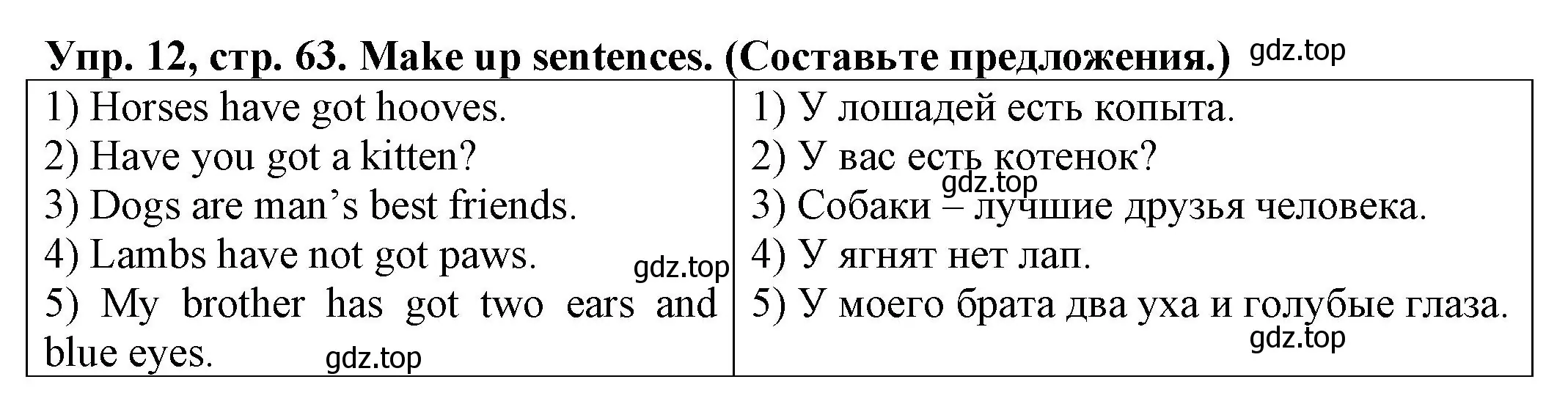 Решение номер 12 (страница 63) гдз по английскому языку 2 класс Котова, сборник упражнений