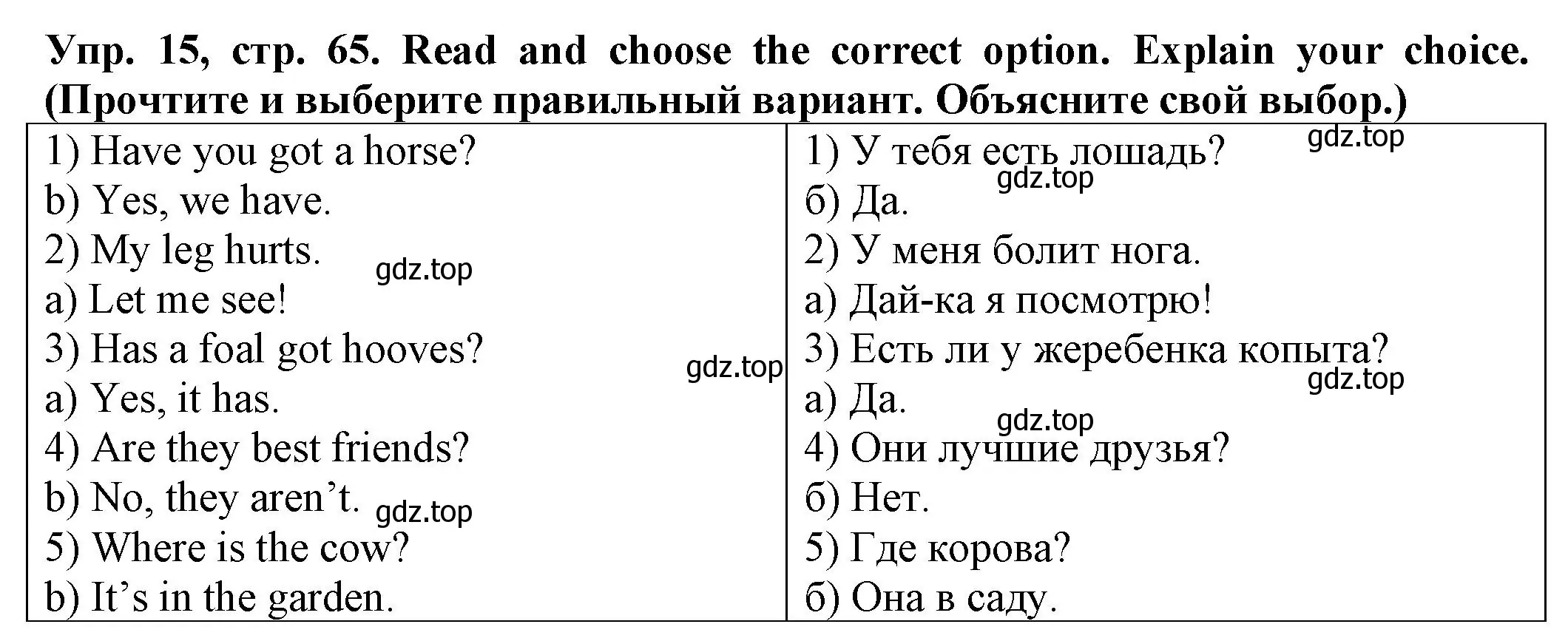 Решение номер 15 (страница 65) гдз по английскому языку 2 класс Котова, сборник упражнений