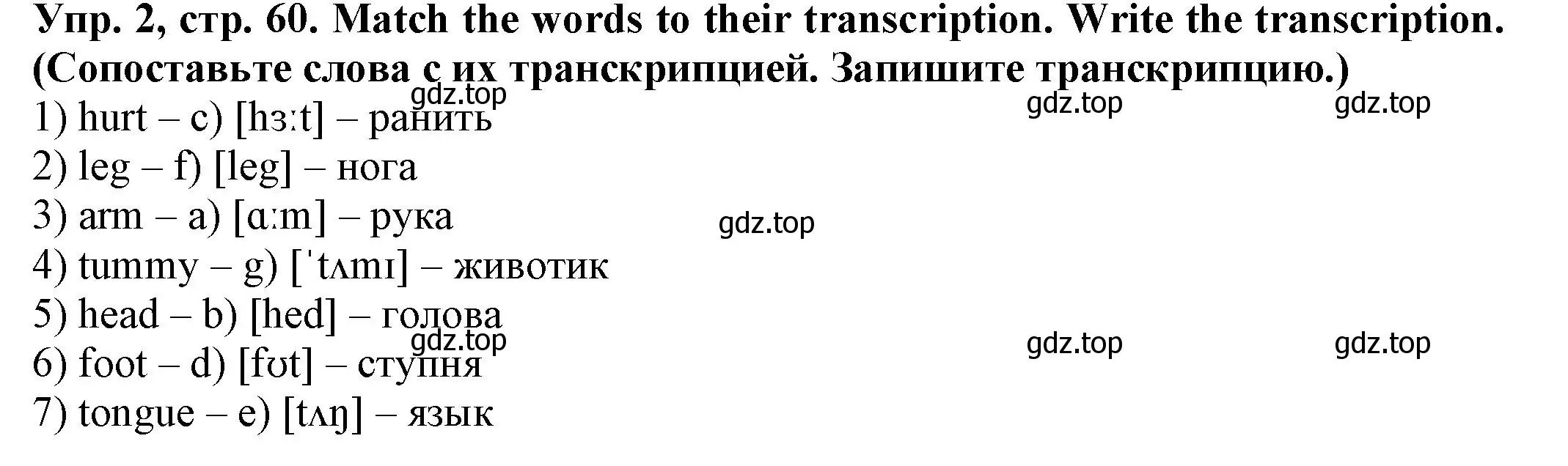 Решение номер 2 (страница 60) гдз по английскому языку 2 класс Котова, сборник упражнений