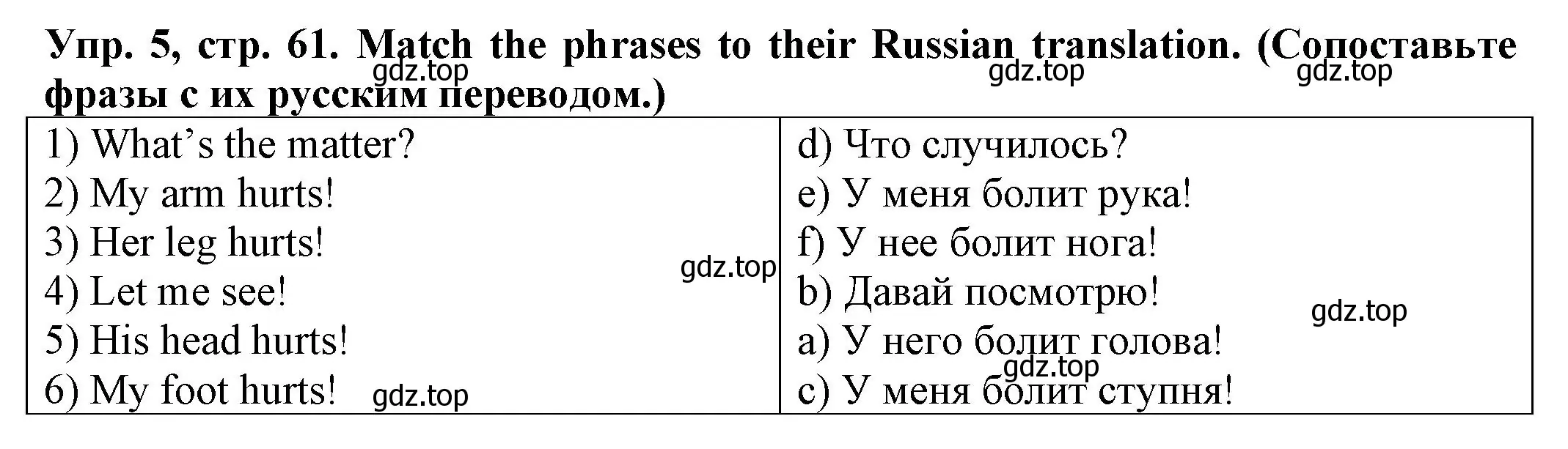 Решение номер 5 (страница 61) гдз по английскому языку 2 класс Котова, сборник упражнений