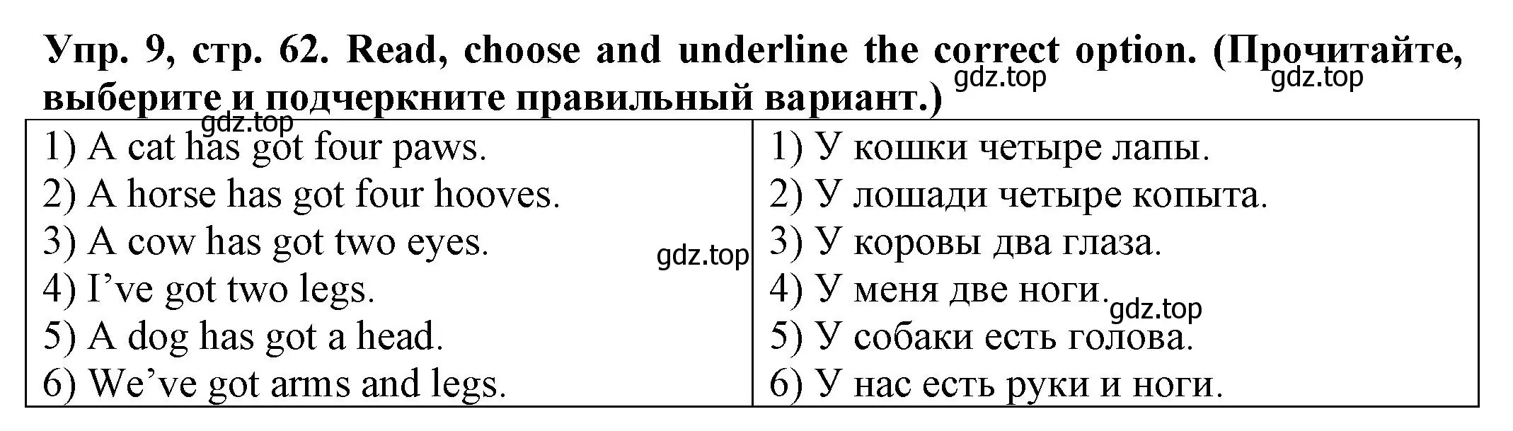 Решение номер 9 (страница 62) гдз по английскому языку 2 класс Котова, сборник упражнений