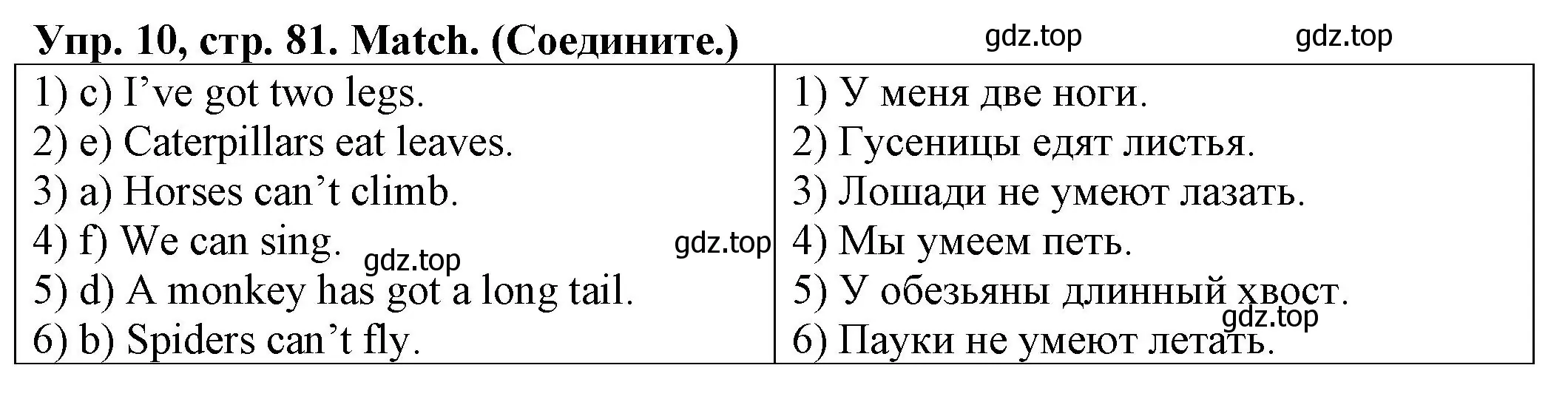 Решение номер 10 (страница 81) гдз по английскому языку 2 класс Котова, сборник упражнений