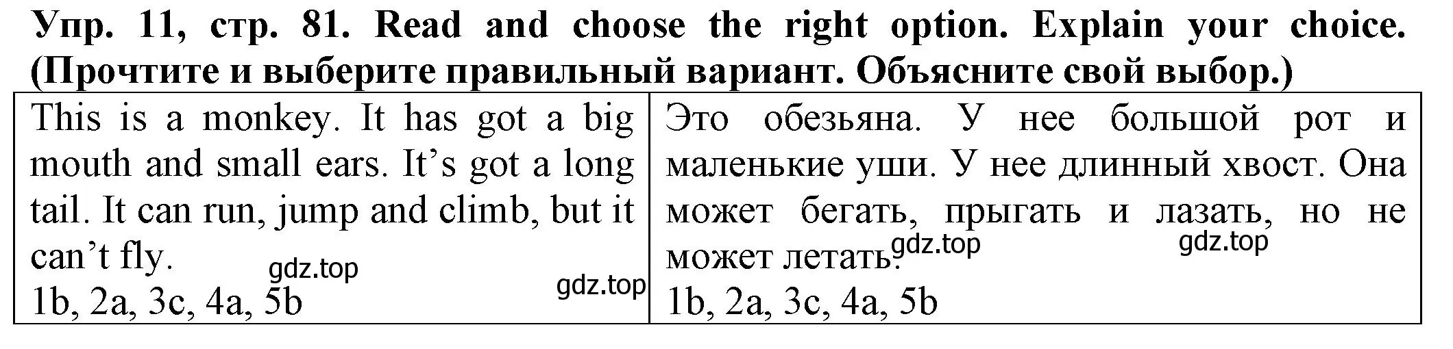 Решение номер 11 (страница 81) гдз по английскому языку 2 класс Котова, сборник упражнений