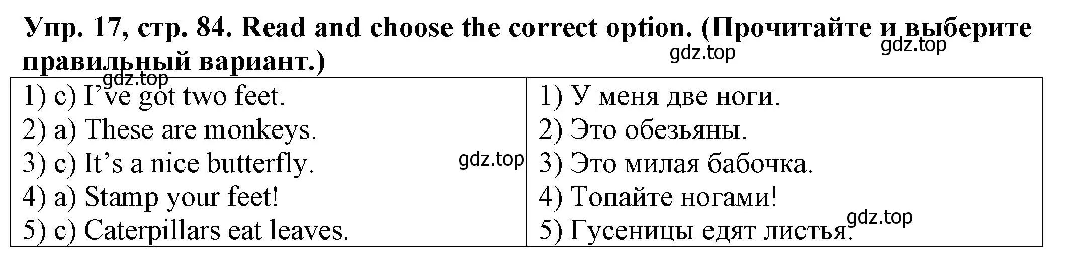Решение номер 17 (страница 84) гдз по английскому языку 2 класс Котова, сборник упражнений