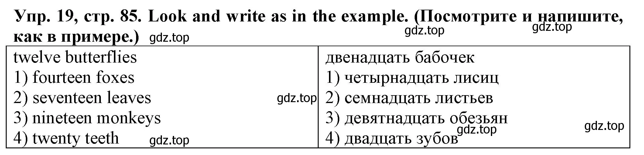 Решение номер 19 (страница 85) гдз по английскому языку 2 класс Котова, сборник упражнений