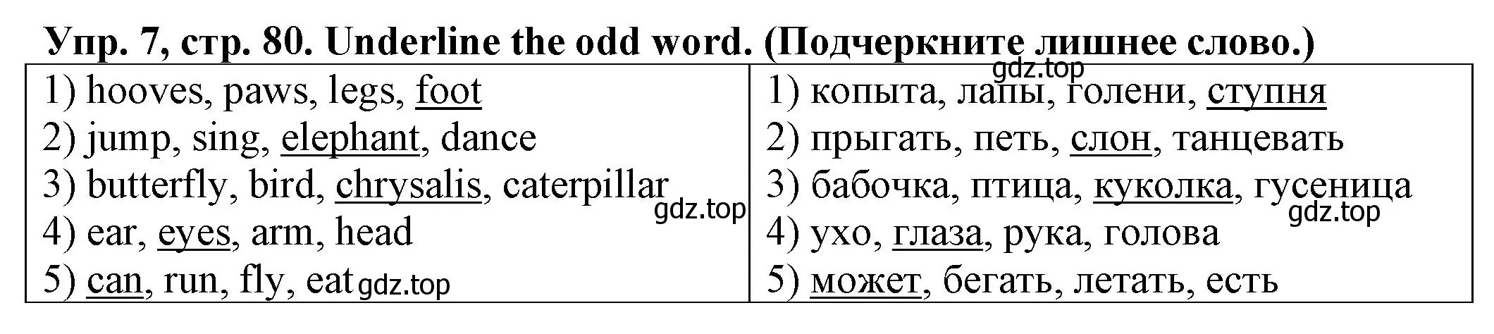 Решение номер 7 (страница 80) гдз по английскому языку 2 класс Котова, сборник упражнений