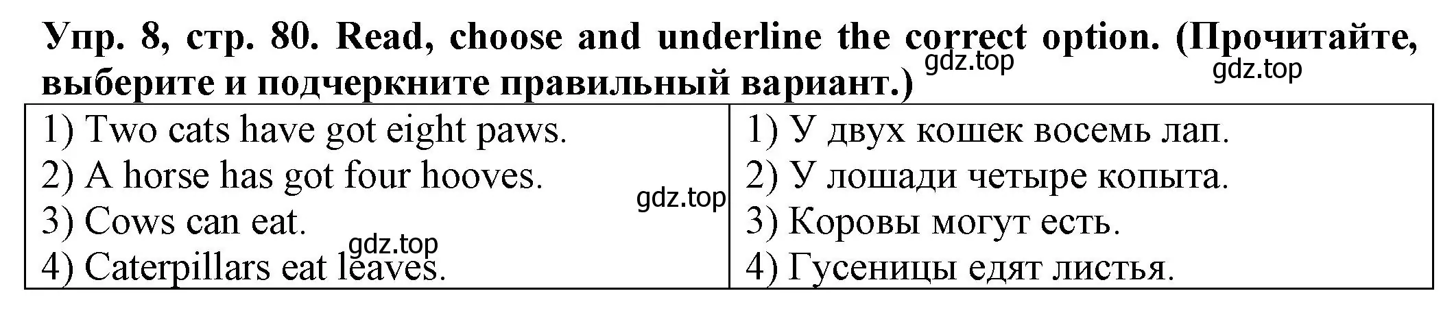 Решение номер 8 (страница 80) гдз по английскому языку 2 класс Котова, сборник упражнений