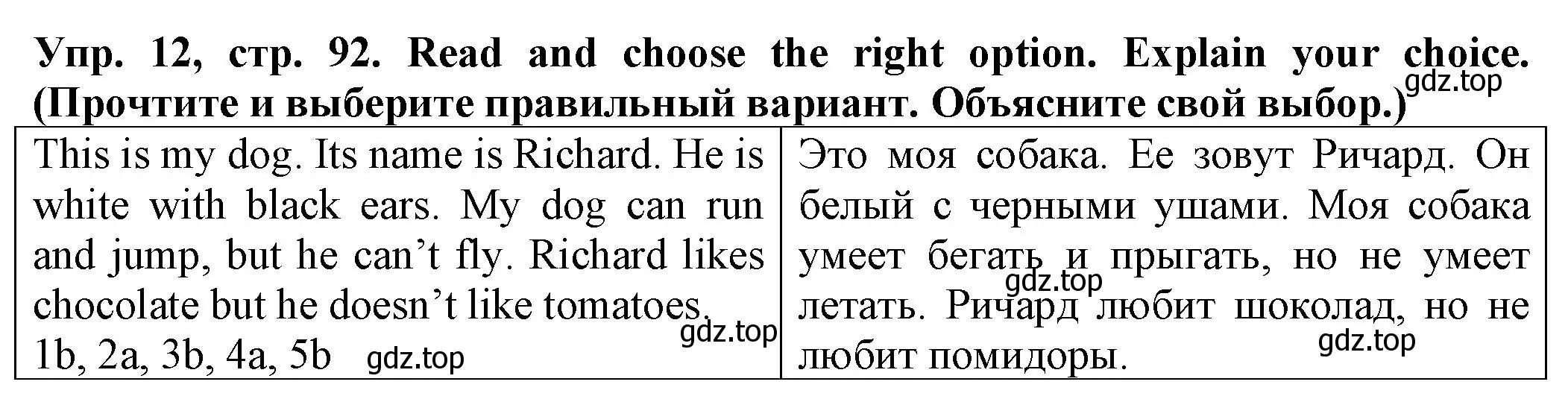 Решение номер 12 (страница 92) гдз по английскому языку 2 класс Котова, сборник упражнений