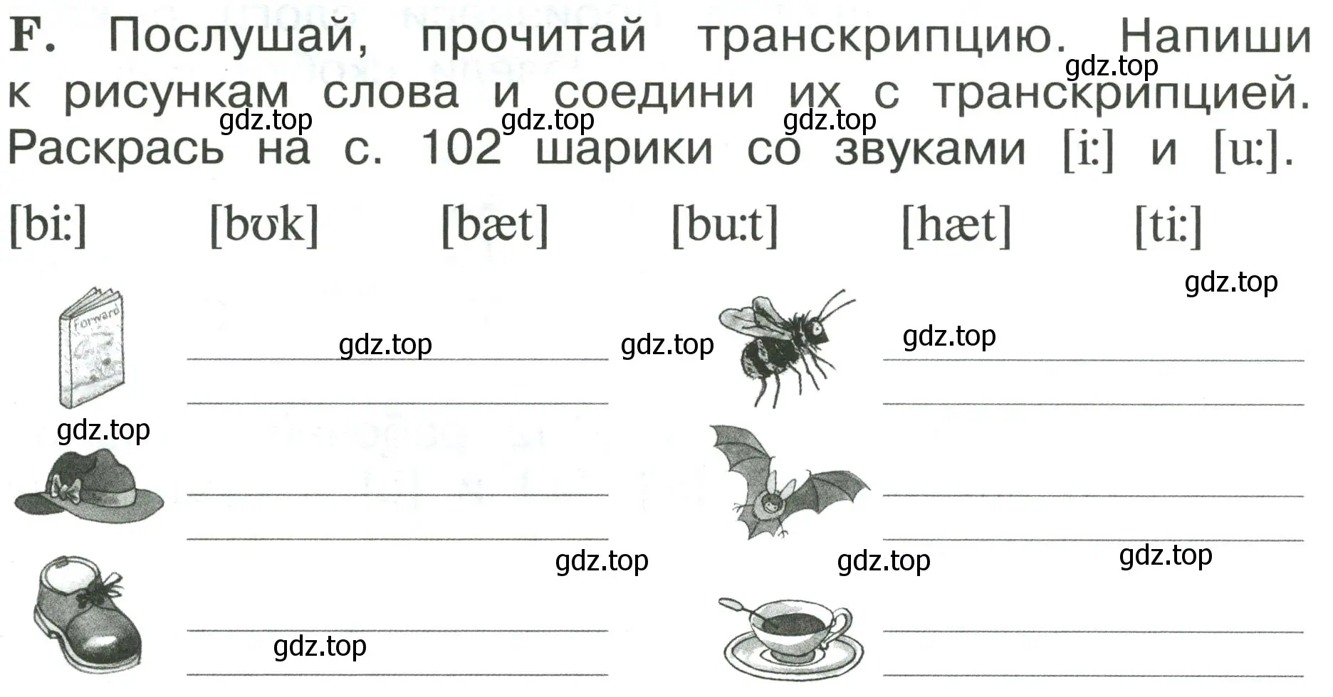 Условие номер F (страница 6) гдз по английскому языку 2 класс Вербицкая, Оралова, рабочая тетрадь