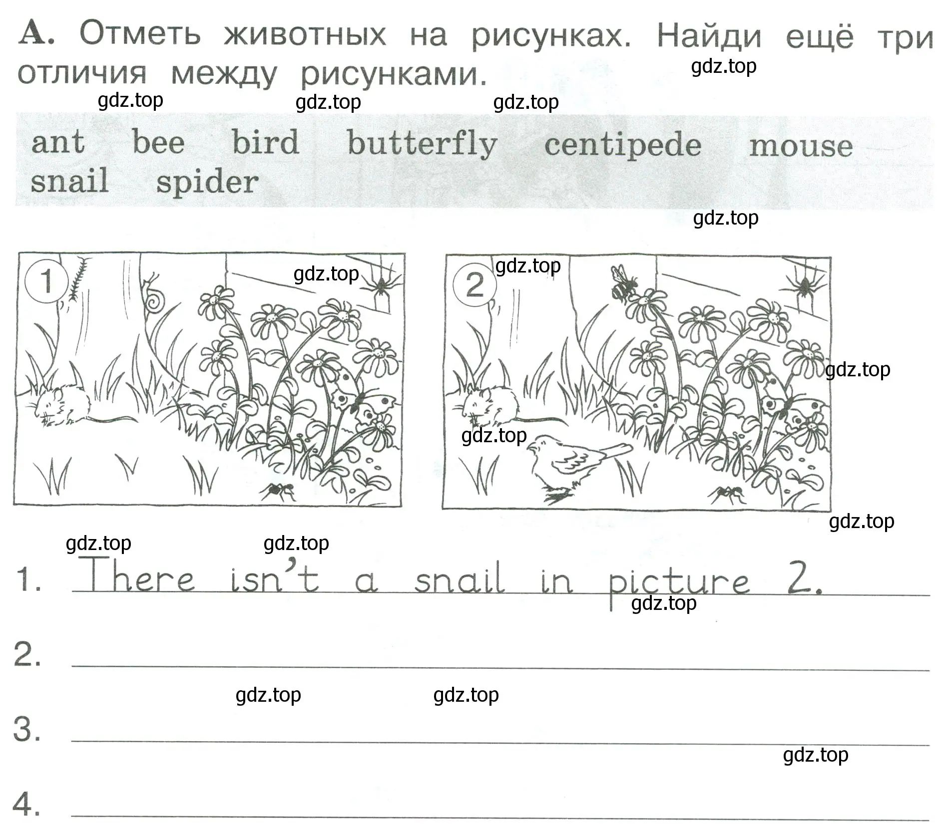 Условие номер A (страница 55) гдз по английскому языку 2 класс Вербицкая, Оралова, рабочая тетрадь