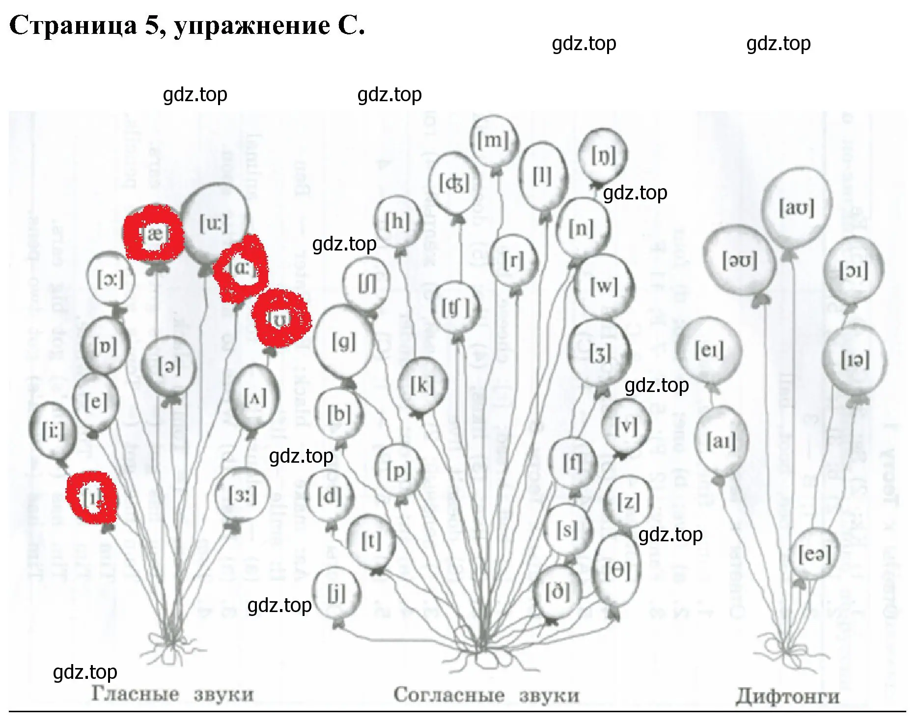 Решение номер C (страница 5) гдз по английскому языку 2 класс Вербицкая, Оралова, рабочая тетрадь