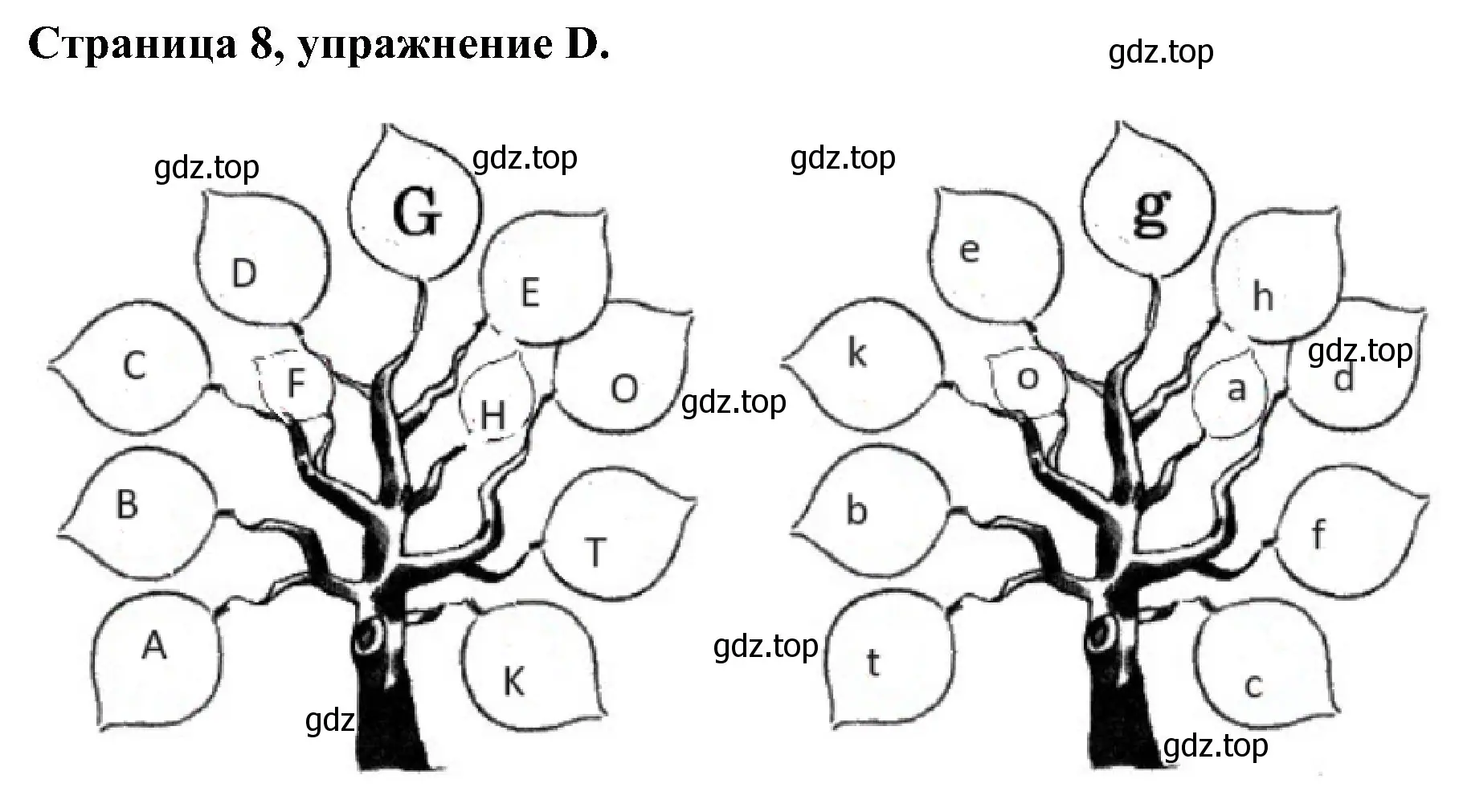 Решение номер D (страница 8) гдз по английскому языку 2 класс Вербицкая, Оралова, рабочая тетрадь