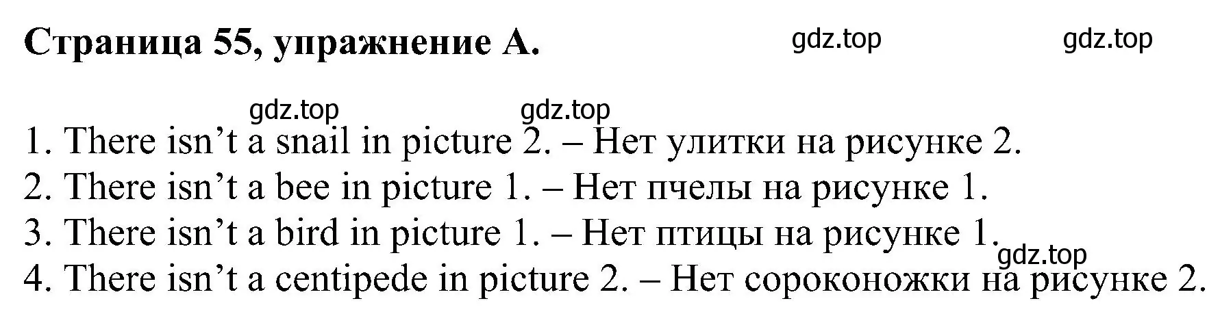 Решение номер A (страница 55) гдз по английскому языку 2 класс Вербицкая, Оралова, рабочая тетрадь