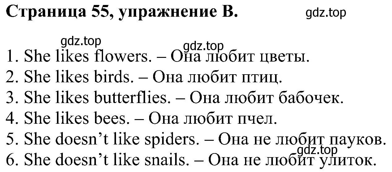 Решение номер B (страница 55) гдз по английскому языку 2 класс Вербицкая, Оралова, рабочая тетрадь