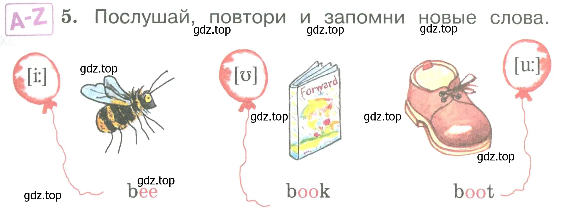 Условие номер 5 (страница 9) гдз по английскому языку 2 класс Вербицкая, Эббс, учебник 1 часть