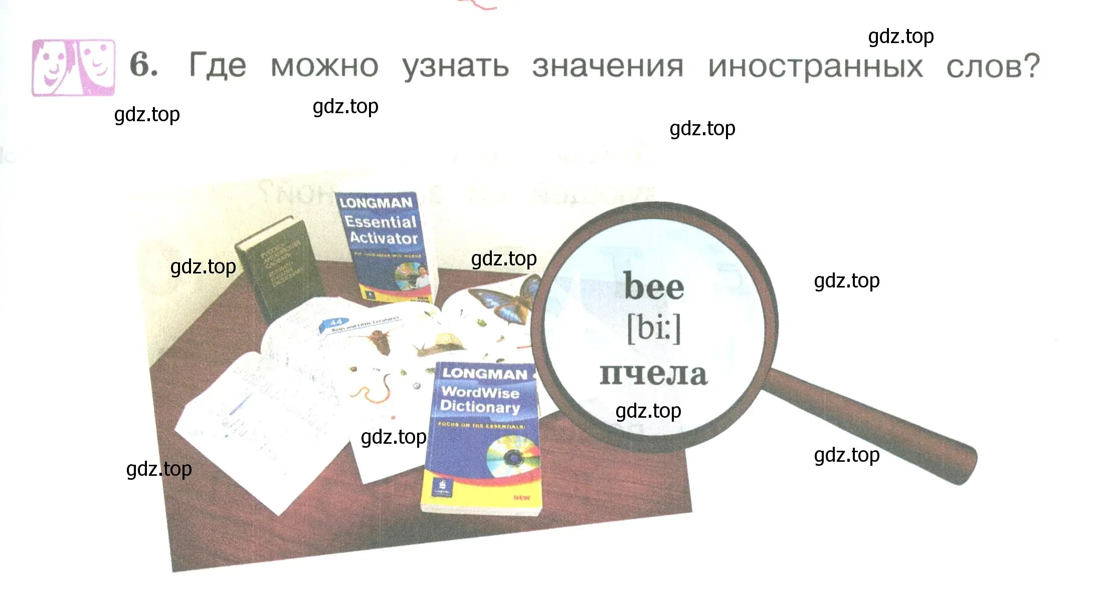 Условие номер 6 (страница 9) гдз по английскому языку 2 класс Вербицкая, Эббс, учебник 1 часть