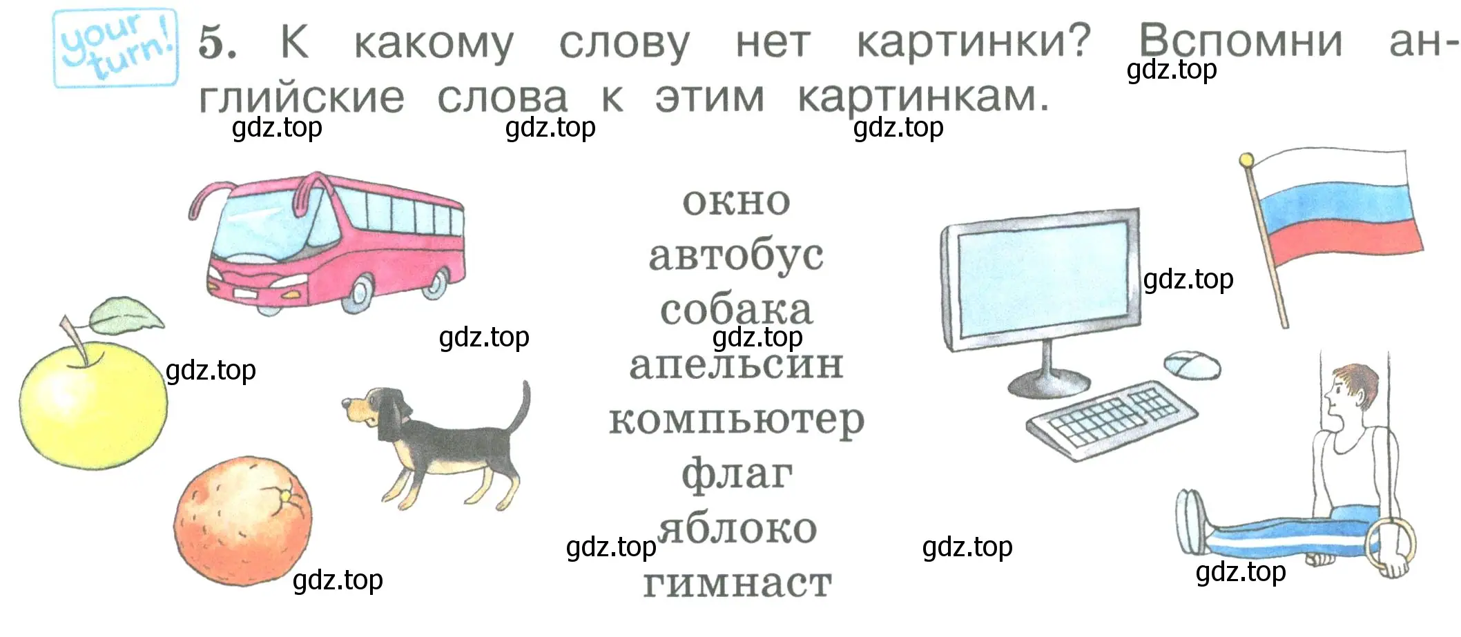 Условие номер 5 (страница 26) гдз по английскому языку 2 класс Вербицкая, Эббс, учебник 1 часть