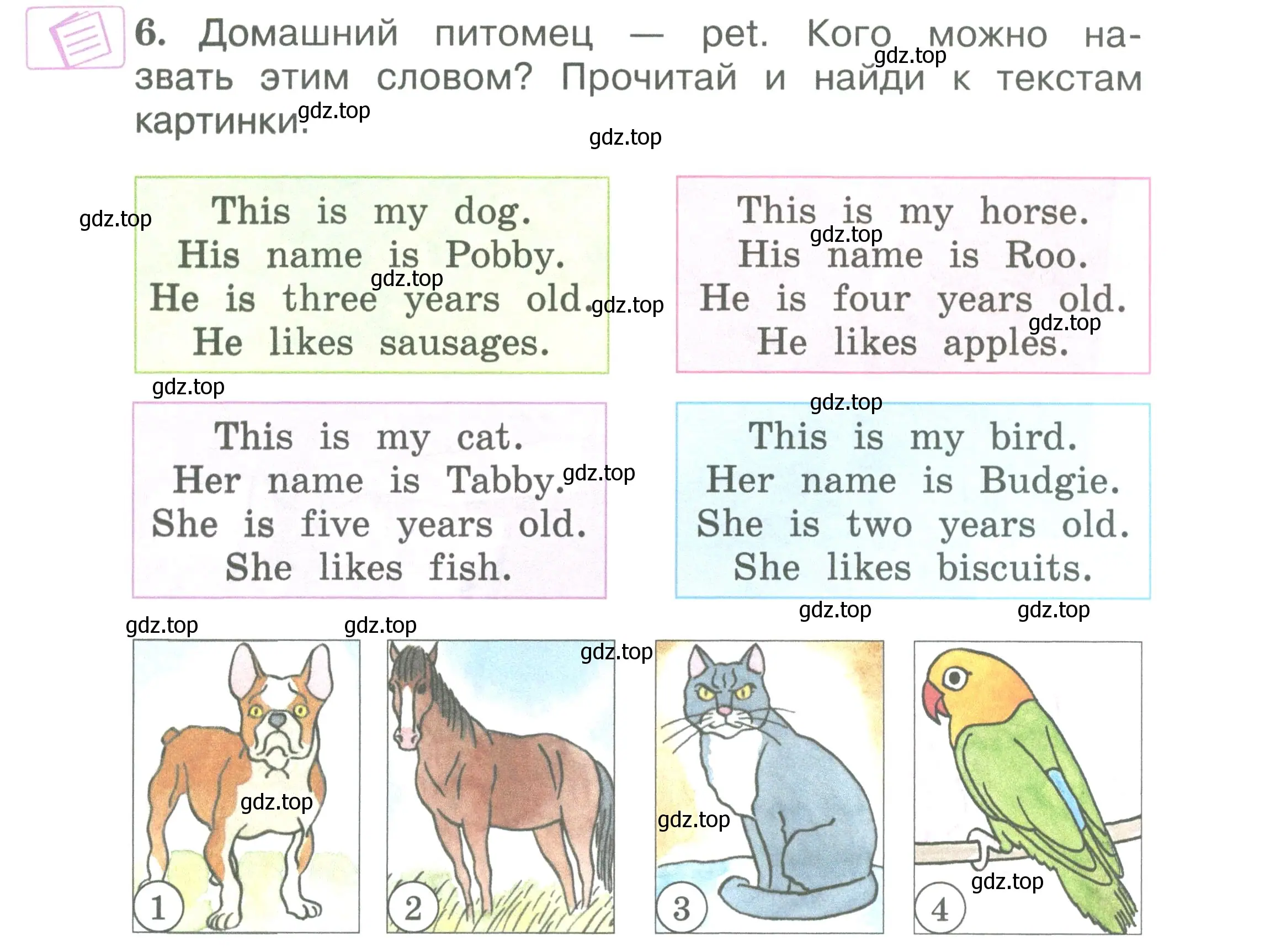 Условие номер 6 (страница 45) гдз по английскому языку 2 класс Вербицкая, Эббс, учебник 2 часть