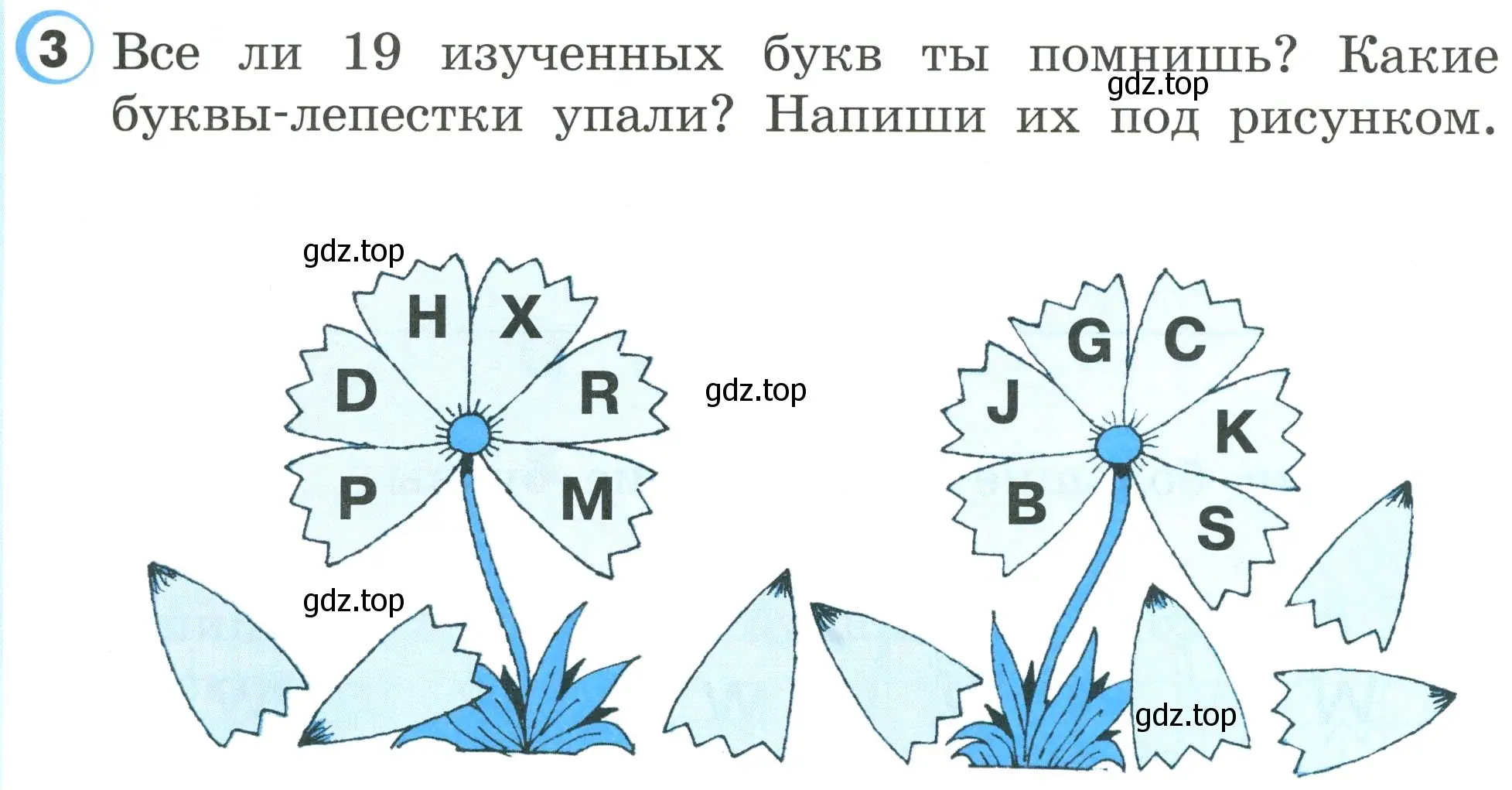 Условие номер 3 (страница 18) гдз по английскому языку 2 класс Верещагина, Бондаренко, рабочая тетрадь