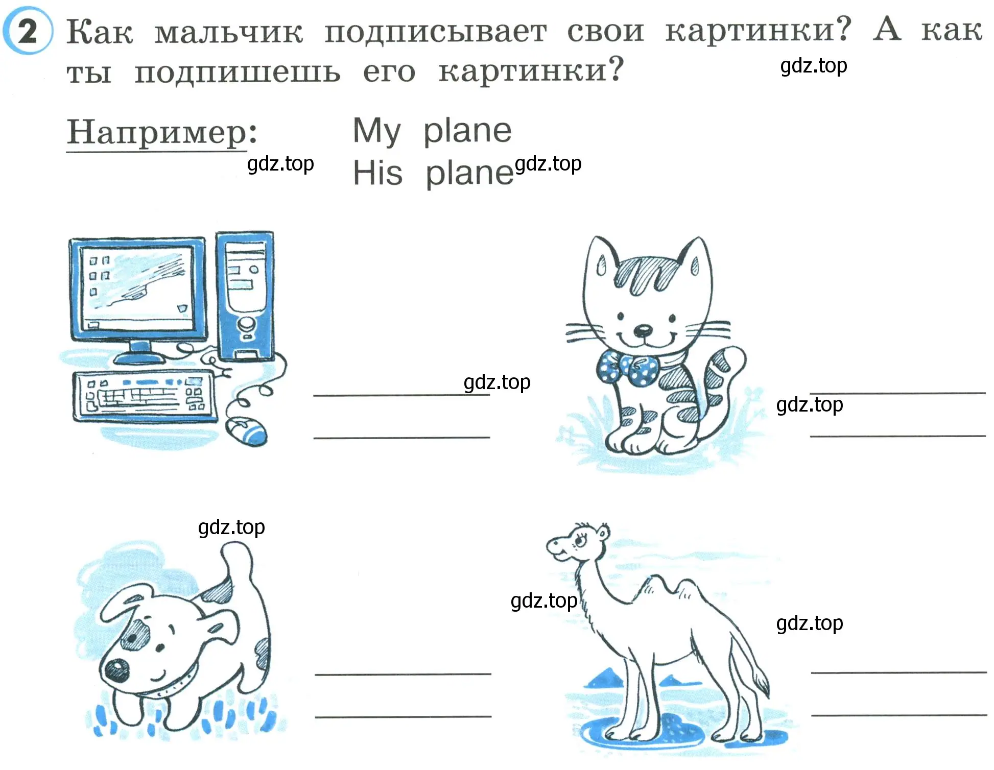 Условие номер 2 (страница 36) гдз по английскому языку 2 класс Верещагина, Бондаренко, рабочая тетрадь